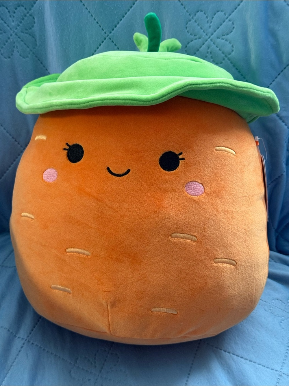 Carolee Orange Plush Carrot Pillow 
with Green Leaf Hat-squishmellow